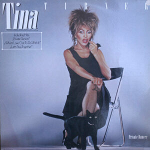 Tina Turner – Private Dancer