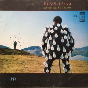 Pink Floyd – Delicate Sound Of Thunder. № 2